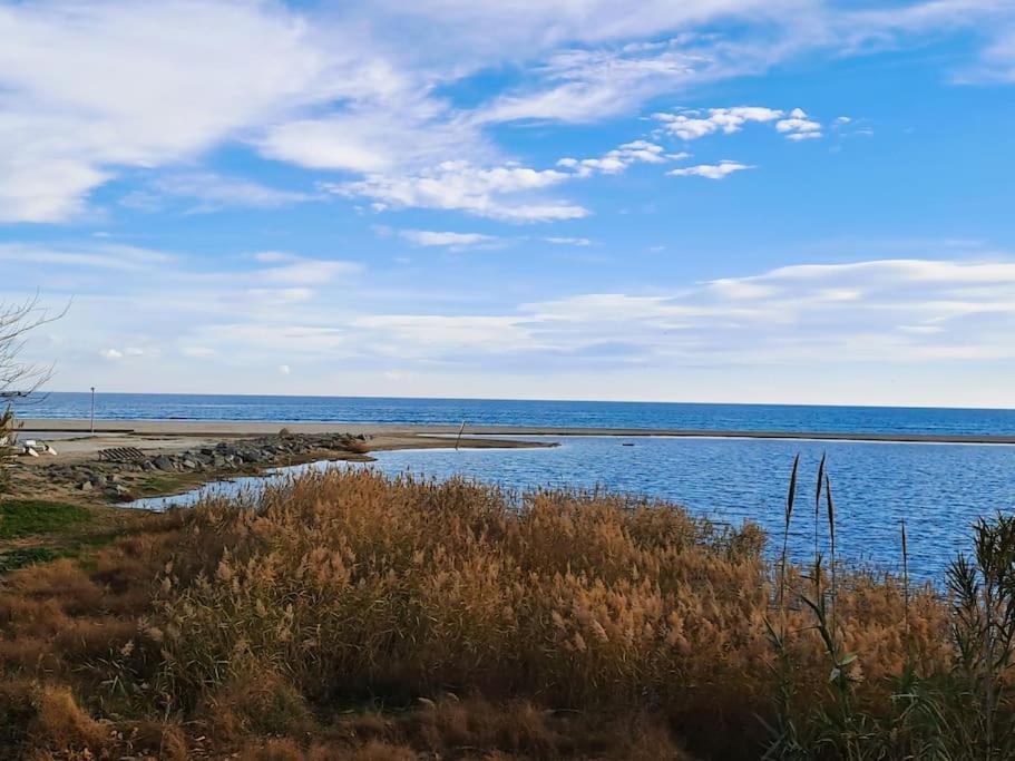 Apartamento 1A Linea De Mar Empuriabrava Buitenkant foto